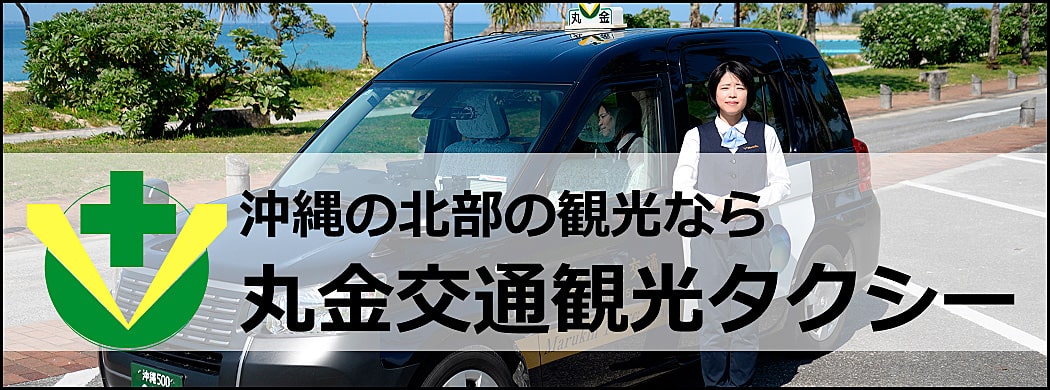 沖縄北部の観光タクシー